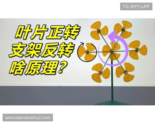 《XXX》：风车里的3个谜团，第7个揭示了真相